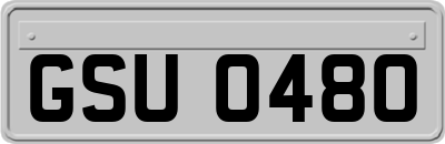 GSU0480