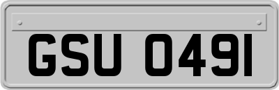 GSU0491