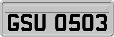 GSU0503