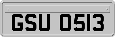 GSU0513