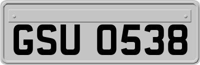 GSU0538