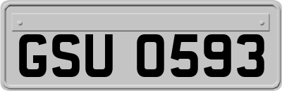 GSU0593