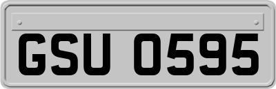GSU0595