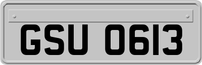 GSU0613