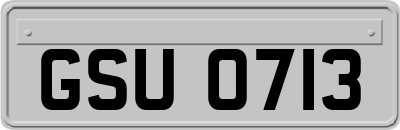 GSU0713
