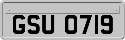 GSU0719
