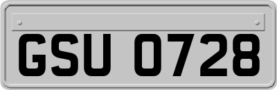 GSU0728