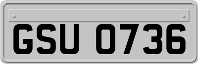 GSU0736