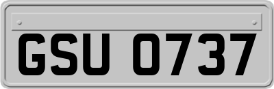 GSU0737