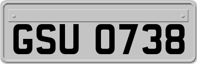 GSU0738
