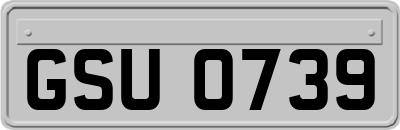 GSU0739