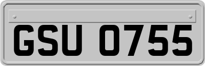 GSU0755