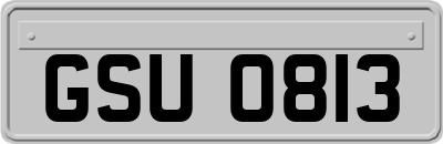 GSU0813