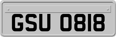 GSU0818
