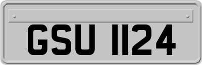 GSU1124