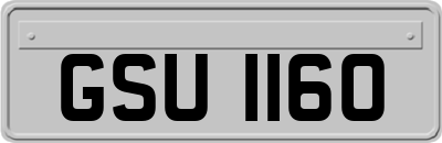 GSU1160
