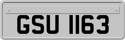 GSU1163