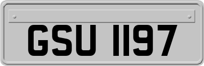 GSU1197