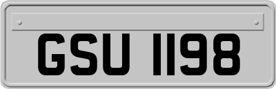 GSU1198