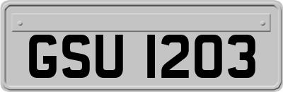 GSU1203