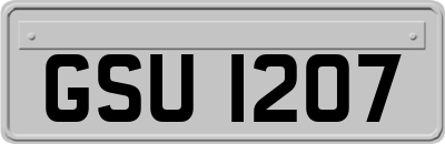 GSU1207