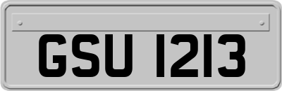 GSU1213