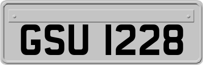 GSU1228