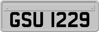 GSU1229
