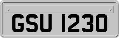 GSU1230