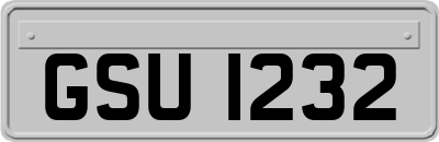 GSU1232