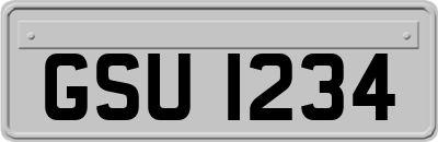 GSU1234