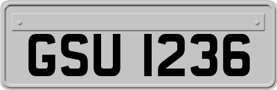 GSU1236