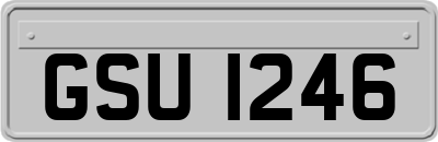 GSU1246