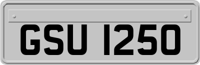 GSU1250