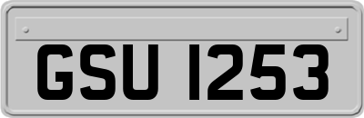 GSU1253