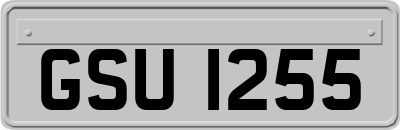 GSU1255