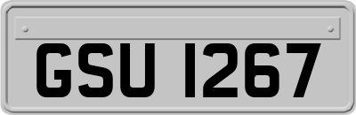 GSU1267