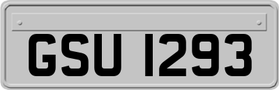 GSU1293