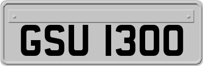 GSU1300