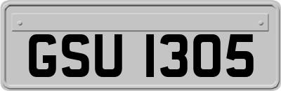 GSU1305
