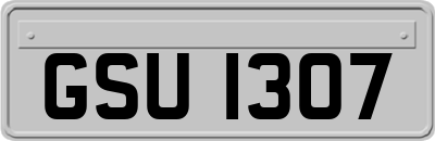GSU1307