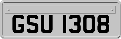 GSU1308