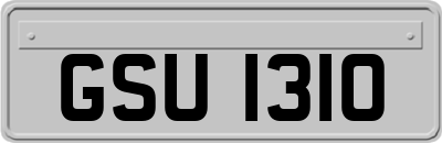 GSU1310