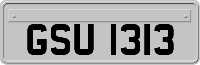 GSU1313