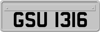 GSU1316