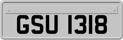 GSU1318