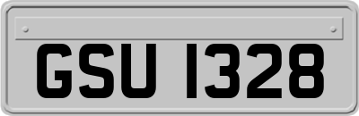 GSU1328