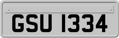 GSU1334