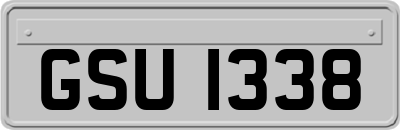 GSU1338