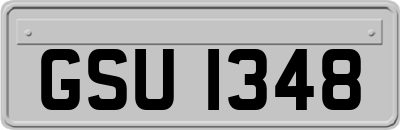 GSU1348